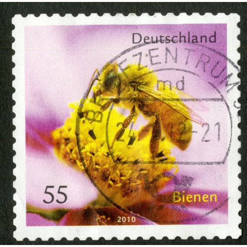 Timbre Oblitéré Deutschland, Bienen, 2010, 55
