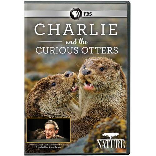 Nature: Charlie And The Curious Otters [Digital Video Disc]