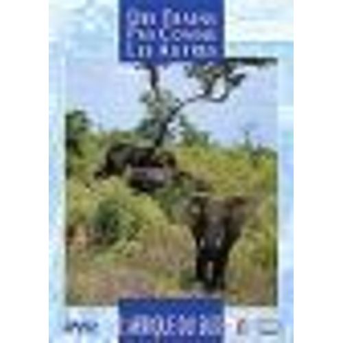 Des Trains Pas Comme Les Autres - L'afrique Du Sud