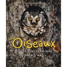 Les Oiseaux Comme Vous Ne Les Avez Jamais Vus
