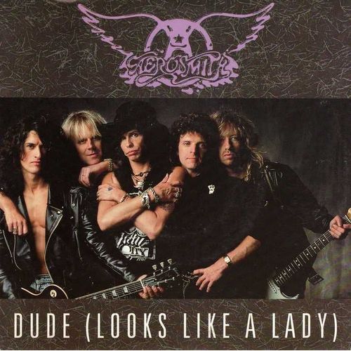 Aerosmith " Dude (Looks Like A Lady) "