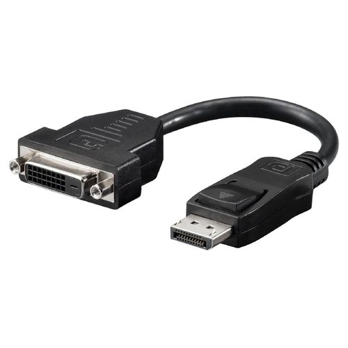 Adaptateur DisplayPort male vers DVI-D femelle 0.2m noir