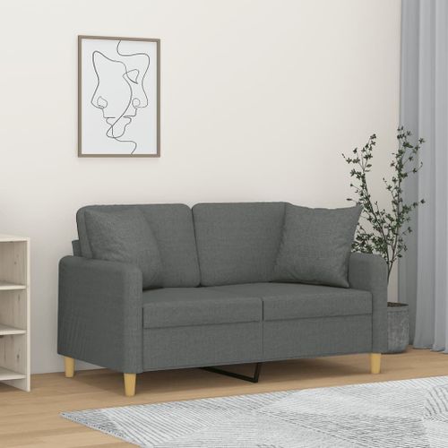 Vidaxl Canapé 2 Places Avec Oreillers Gris Foncé 120 Cm Tissu