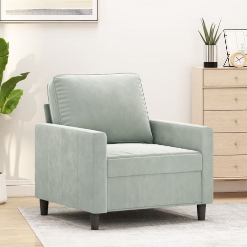 Vidaxl Fauteuil Gris Clair 60 Cm Velours