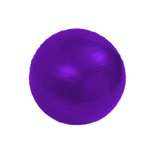 Ballon De Stabilité, Ballon De Yoga, Entraînement Physique De Base, Équilibre 65 Cm Violet