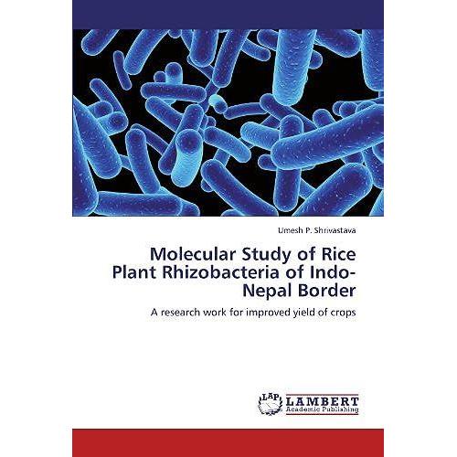 Molecular Study Of Rice Plant Rhizobacteria Of Indo-Nepal Border