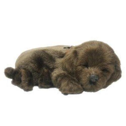 Perfect Petzzz - 4911 - Peluche - Chien Labrador Chocolat