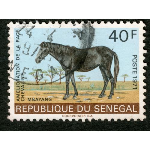 Timbre Oblitéré République Du Sénégal, Mbayang, Amélioration De La Race Chevaline, Postes 1971, 40 F
