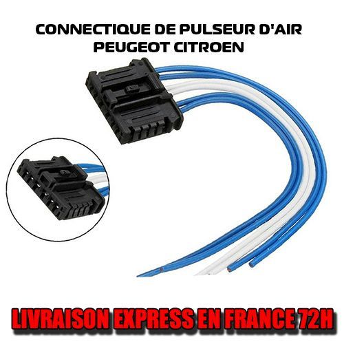 Connecteur Pulseur D'air Habitacle Pour Peugeot 206 206+ 307 Citroen Xsara Picasso