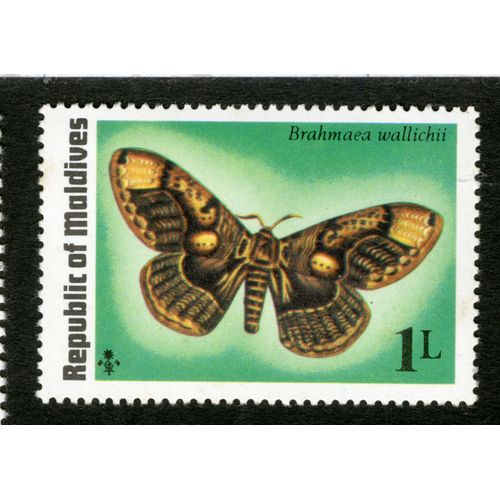 Timbre Non Oblitéré Republic Of Maldives, Brahmaea Wallichii, 1 L