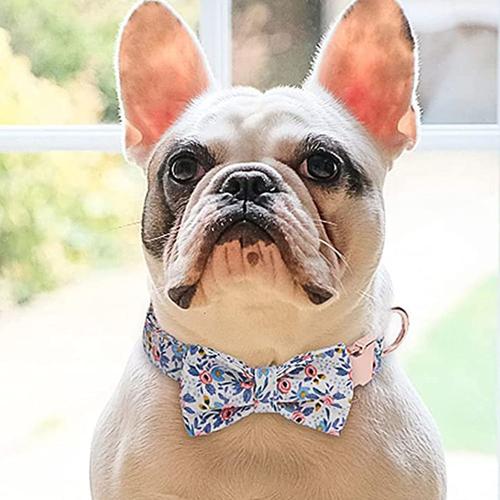 Collier De Chien De Fille De Fleur Personnalisé Pour Chiennes - Colliers Pour Animaux De Compagnie Gravés À Motif Floral Avec Boucle En Or Personnalisée