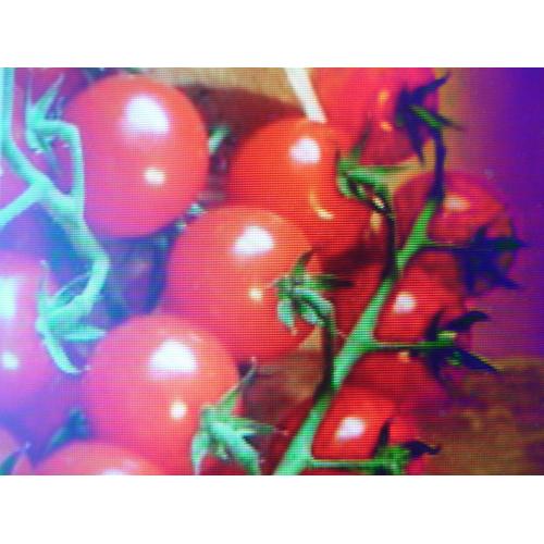 30 Graines De Tomate Cerise Rouge Harmony F1