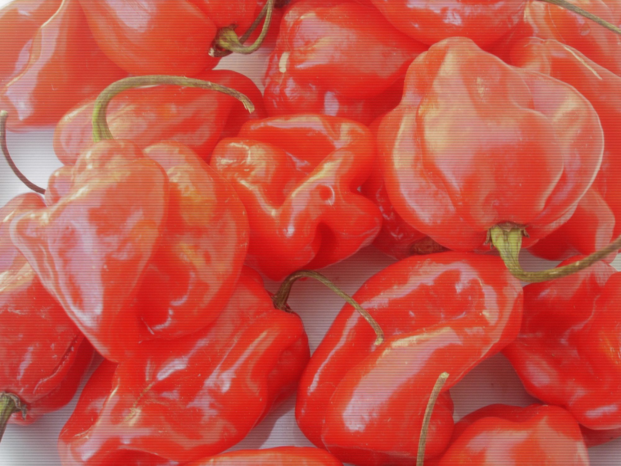 15 Graines De Piment Antillais Habanero