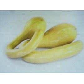 10 Graines De Courgette Trompette