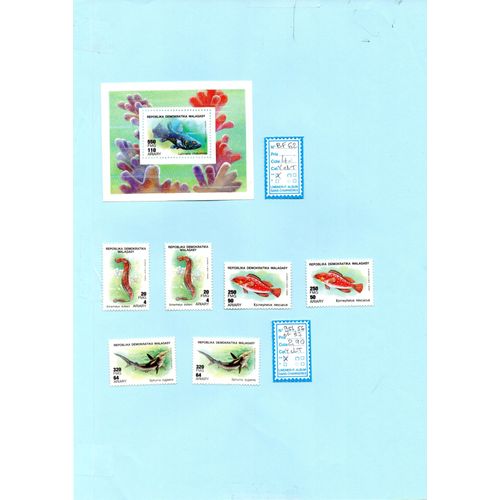 Lot N° 1095 - Timbres De Madagascar - Faune Marine - 3 Valeurs N°954, 956 Et 957 - Neuf