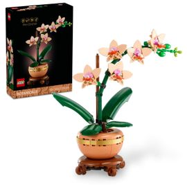 LEGO Botanicals - LEGO Icons - L'orchidée miniature - 10343 | Rakuten