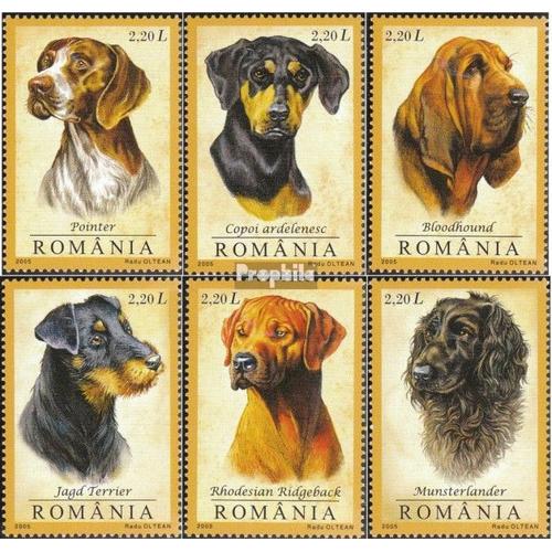 Roumanie 5982-5987 (Complète Edition) Neuf Avec Gomme Originale 2005 Les Chiens De Chasse