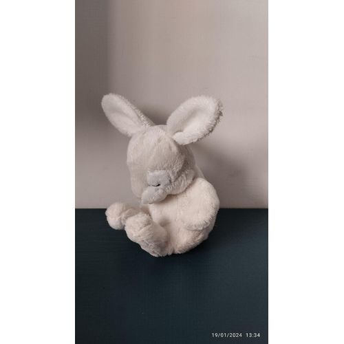 Petit Doudou Lapin Blanc Assis H & M