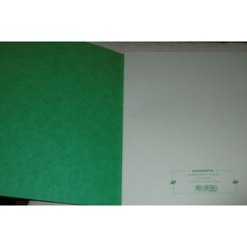 Exacompta Journal Folioté 24x32cm 80 Pages Vert N° 6400
