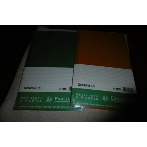 Exacompta Registre Quadrillé 5x5 Folioté 19.5x32cm Lot De 2 N° 7610