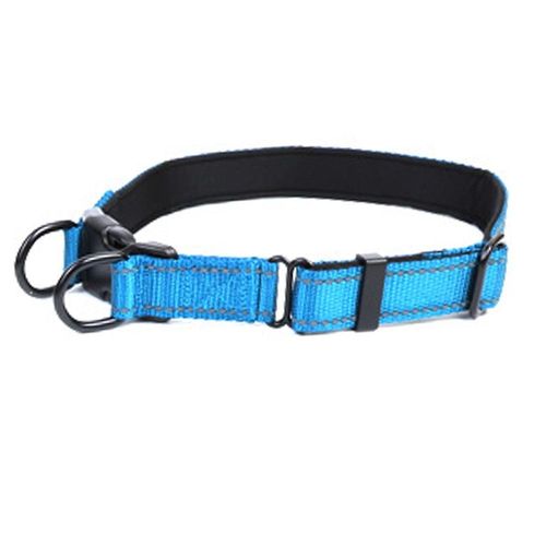 Collier pour chien et ¿¿tui en cuir pour costume E, collier souple en nylon robuste avec anneau en D en m¿¿tal S bleu