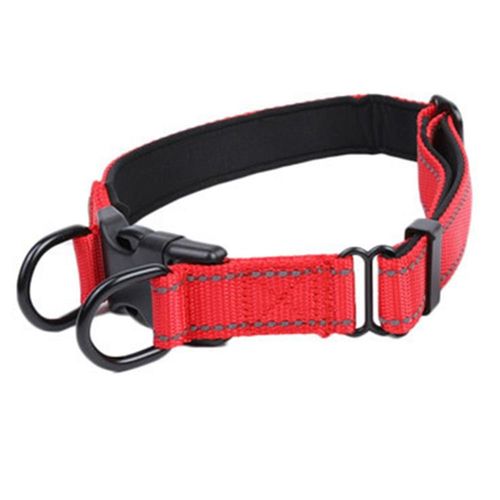 Collier pour chien et ¿¿tui en cuir pour costume E, collier souple en nylon robuste avec anneau en D en m¿¿tal S rouge