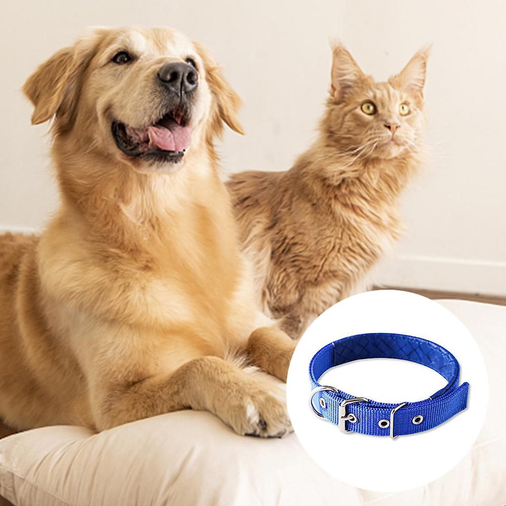 Collier pour chien classique, collier pour chien rglable a... - 3