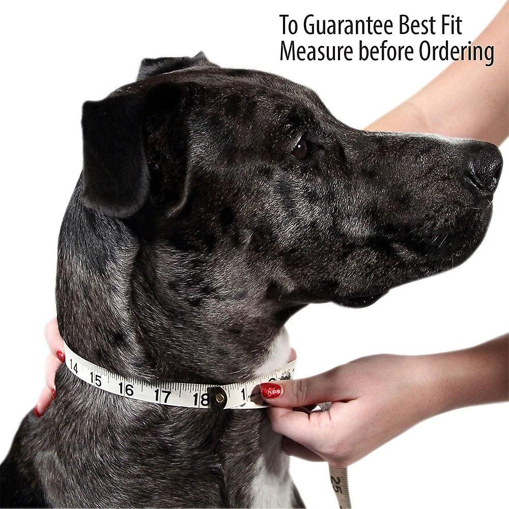 Collier pour chien classique, collier pour chien rglable a... - 4