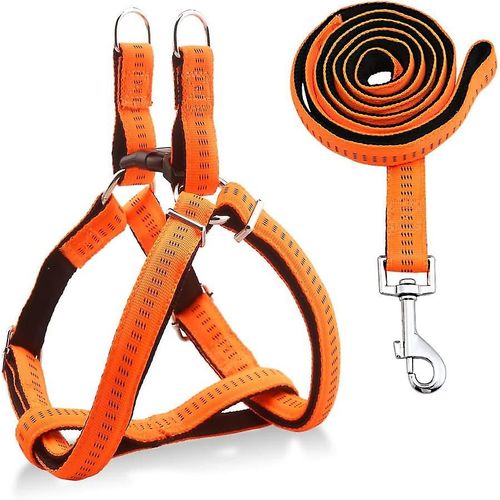 Harnais pour chien Laisse pour chien durable Collier pour chien robuste et r¿¿glable Harnais de laisse pour chien anti-torsion pour petits, moyens et grands chiens, parfait pour la marche et la course