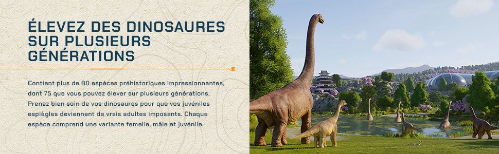 null image 3 | Rakuten