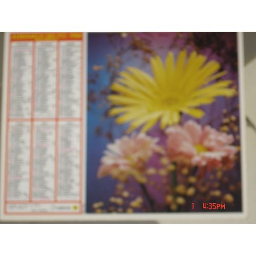Almanach Des Ptt : 1984