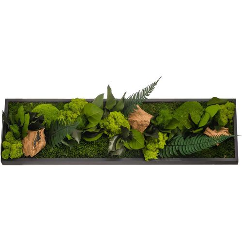 Tableau végétal stabilisé canopé Panoramic 70 x 20 cm