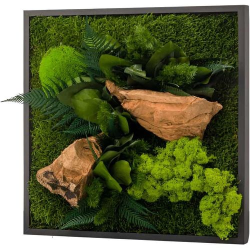 Tableau végétal stabilisé canopé Carré