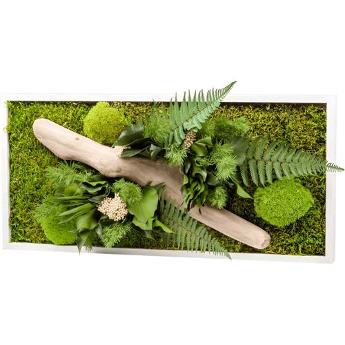 Tableau végétal stabilisé nature Rectangle