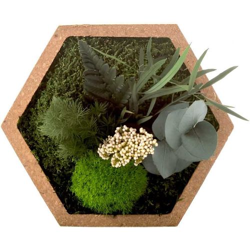 Tableau végétal stabilisé nature Hexagonale