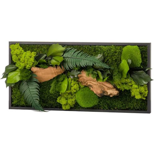 Tableau végétal stabilisé canopé Rectangle 57 x 27 cm