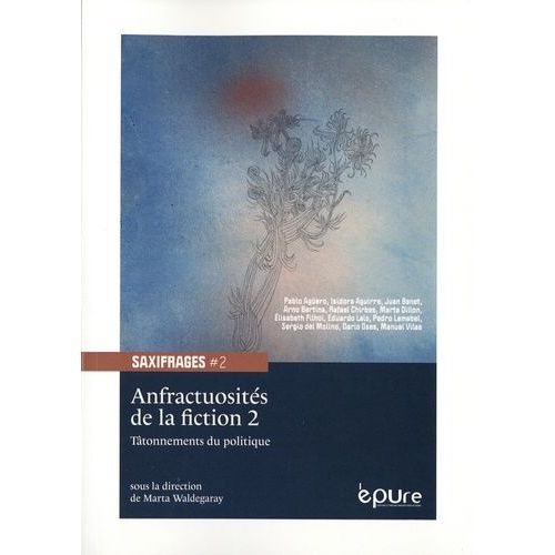 Anfractuosités De La Fiction - Volume 2, Tâtonnement Du Politique
