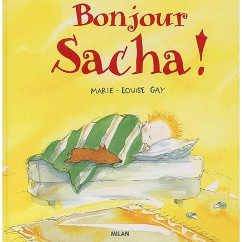 Bonjour Sacha !
