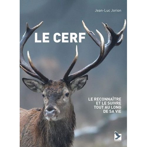 Le Cerf - Le Reconnaitre Et Le Suivre Tout Au Long De Sa Vie