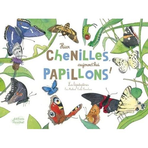 Hier Chenilles, Aujourd'hui Papillons ! - Les Lépidoptères