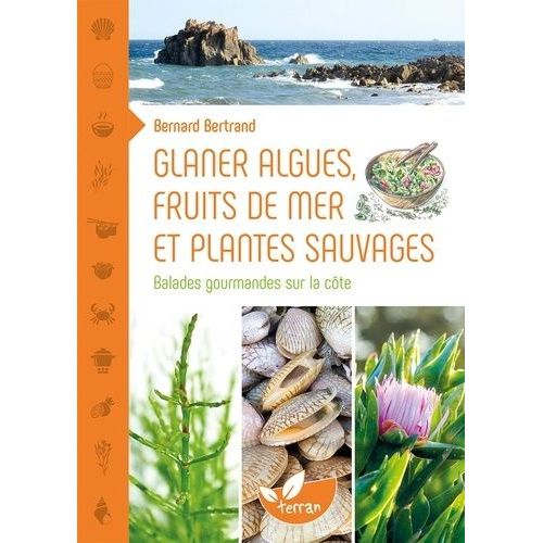 Glaner Algues, Fruits De Mer Et Plantes Sauvages - Balades Gourmandes Sur La Côte