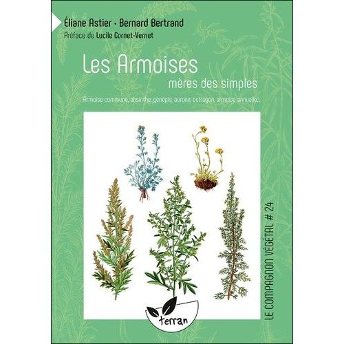 Les Armoises, Mères Des Simples - Armoise Commune, Absinthe, Génépis, Aurone, Estragon, Armoise Annuelle