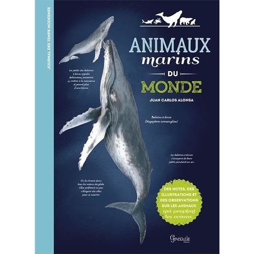 Animaux Marins Du Monde