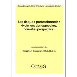 Les Risques Professionnels - Evolutions Des Approches, Nouvelles Perspectives