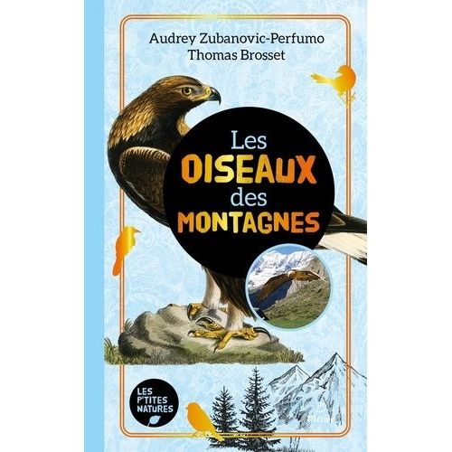 Les Oiseaux Des Montagnes