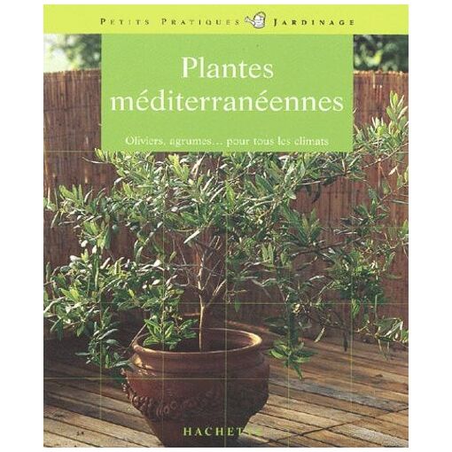 Plantes Mediterraneennes - Les Conseils Dun Expert Pour Cult
