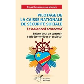 Pilotage De La Caisse Nationale De Sécurité Sociale