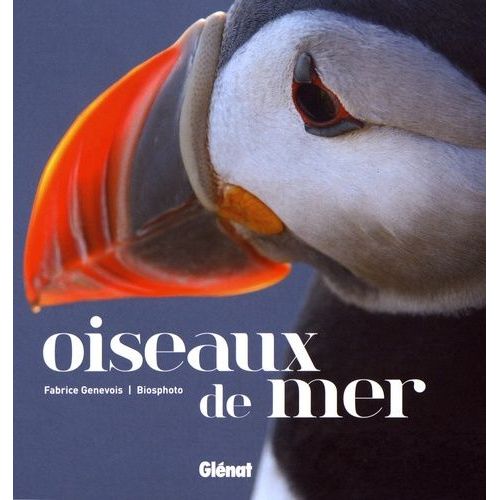 Oiseaux De Mer