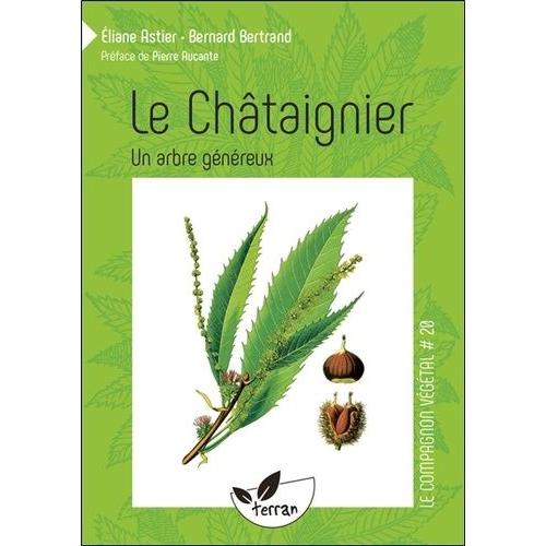 Le Châtaignier - Un Arbre Généreux