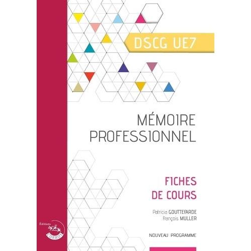 Mémoire Professionnel Dscg Ue 7